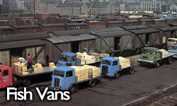 Fish Vans